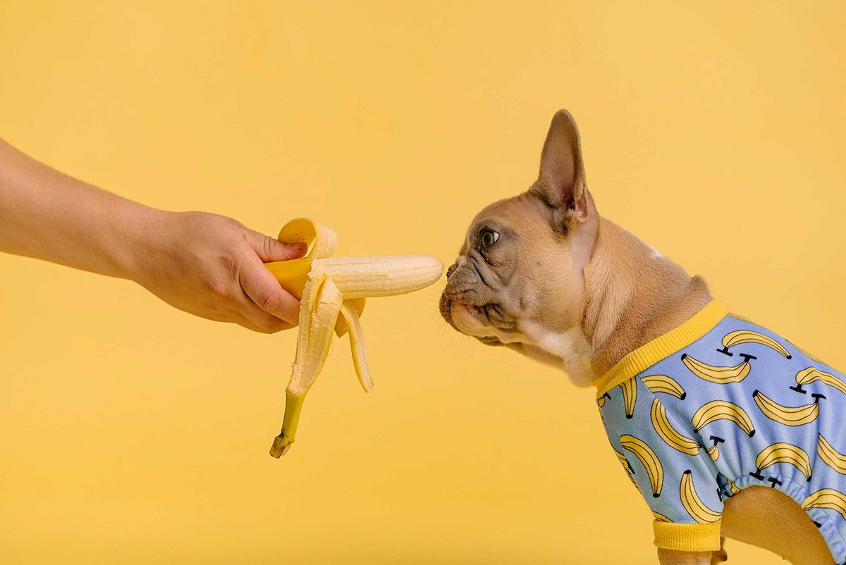 Carefully selected and engaging content